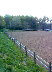 Arena Photo 2