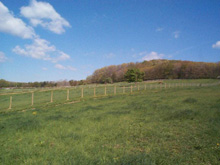 Pasture Photo 2