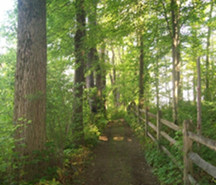 Perimeter trail