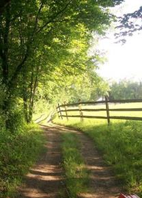 Perimeter Trail